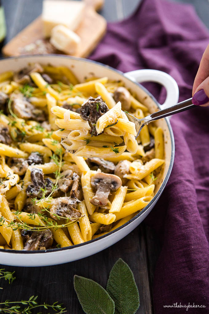 ["[\"Creamy Mushroom Champagne Pasta | Recipes | ["[\"The thirsty kitchen\"]"]\"]"]